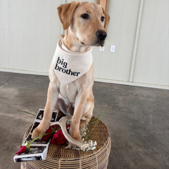 Babylist Registry Photo