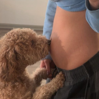 Babylist Registry Photo