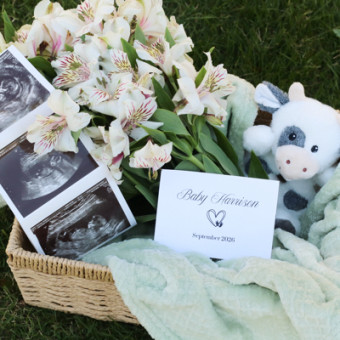 Babylist Registry Photo