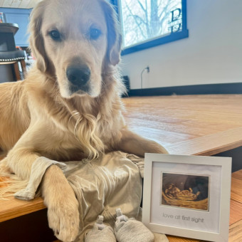 Babylist Registry Photo