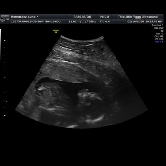 Babylist Registry Photo