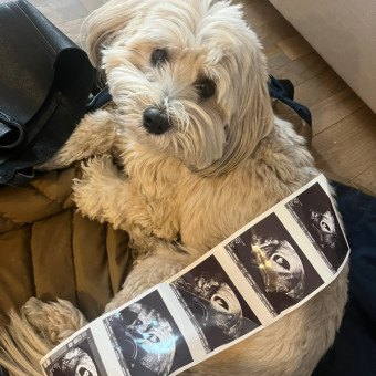 Babylist Registry Photo