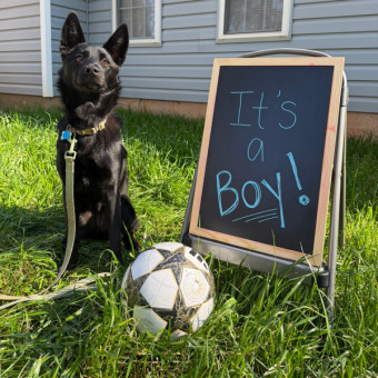 Babylist Registry Photo