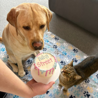 Babylist Registry Photo