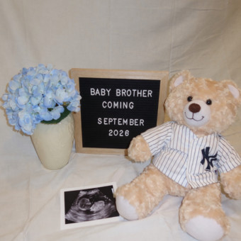 Julie Ayala's Baby Registry at Babylist
