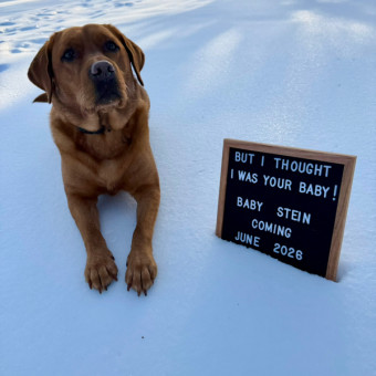 Babylist Registry Photo