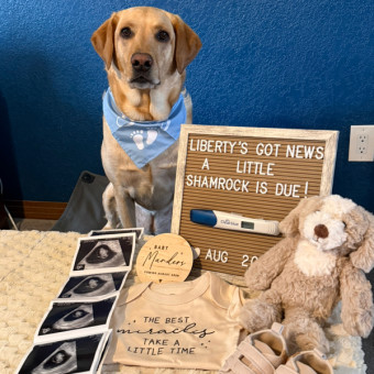 Babylist Registry Photo