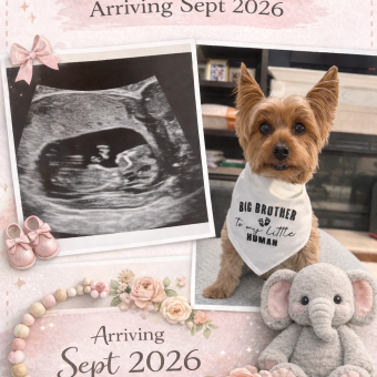 Babylist Registry Photo