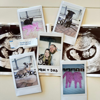 Rachel Fogarty and Chandler Smith's Baby Registry at Babylist