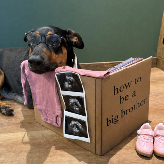 Babylist Registry Photo