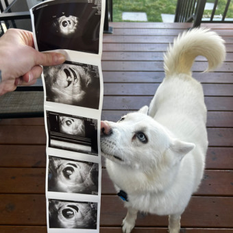 Babylist Registry Photo