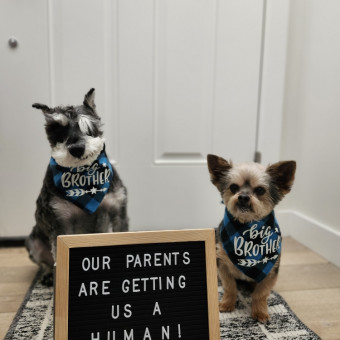 Babylist Registry Photo