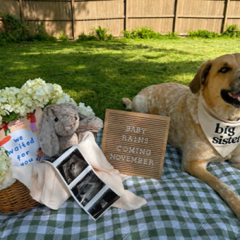 Babylist Registry Photo