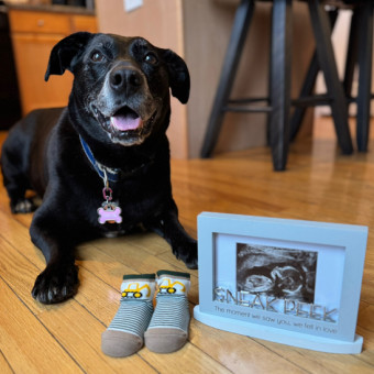 Babylist Registry Photo