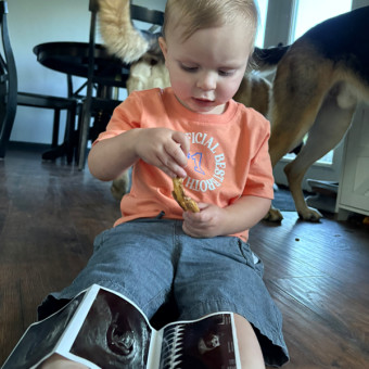Babylist Registry Photo