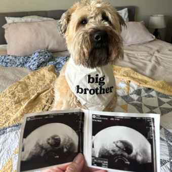 Babylist Registry Photo