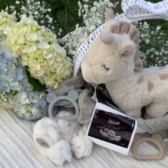 Babylist Registry Photo