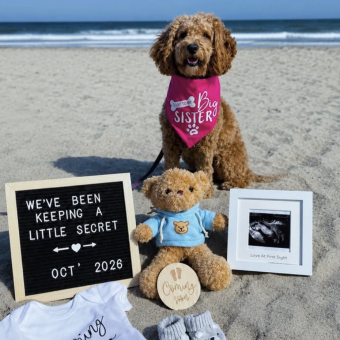 Babylist Registry Photo