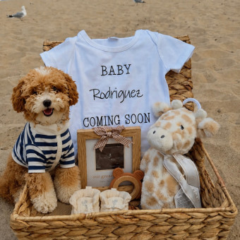 Babylist Registry Photo