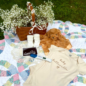 Babylist Registry Photo
