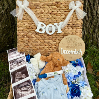Babylist Registry Photo