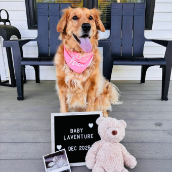 Babylist Registry Photo