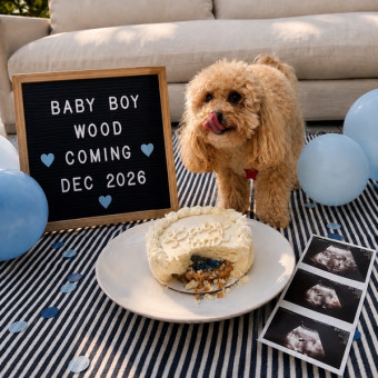 Babylist Registry Photo