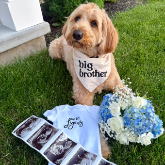 Babylist Registry Photo