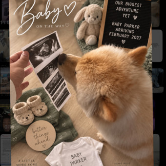 Babylist Registry Photo