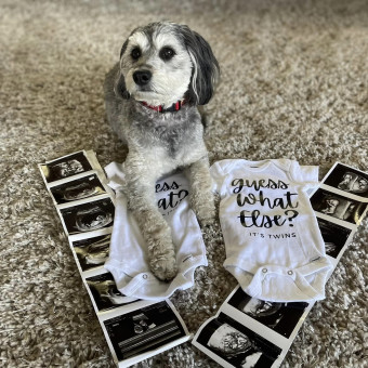 Olivia's Baby Registry Photo.